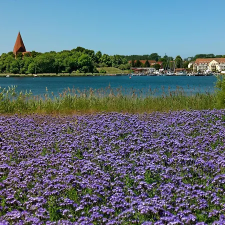 Buchenweg Sonnenresidenz 인젤 포엘